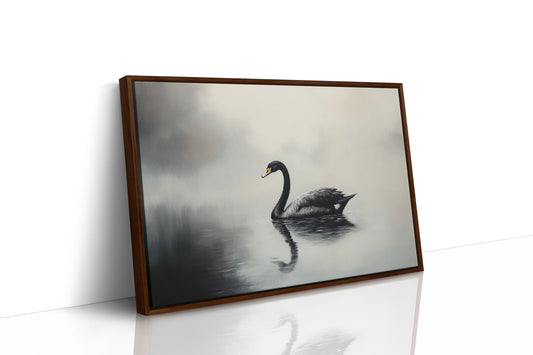 Black Swan Glides Through Morning Fog