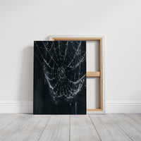 Web in the Dark