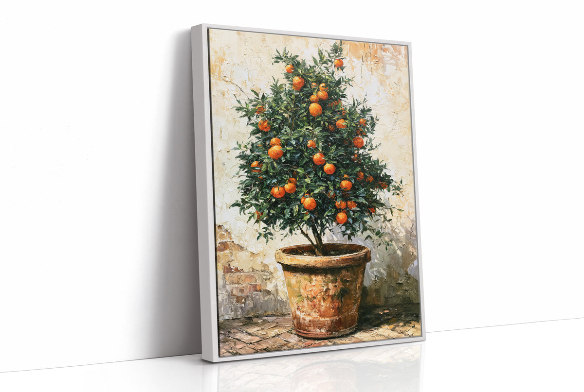 Terracotta and Sunlight: Potted Orange Tree Still Life