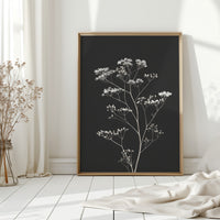 Silent Blooms Against Dark Skies