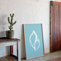 Seashell Sketches A Coastal Memory