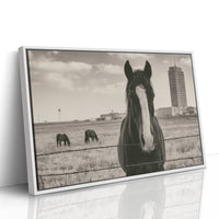Grassland Watch