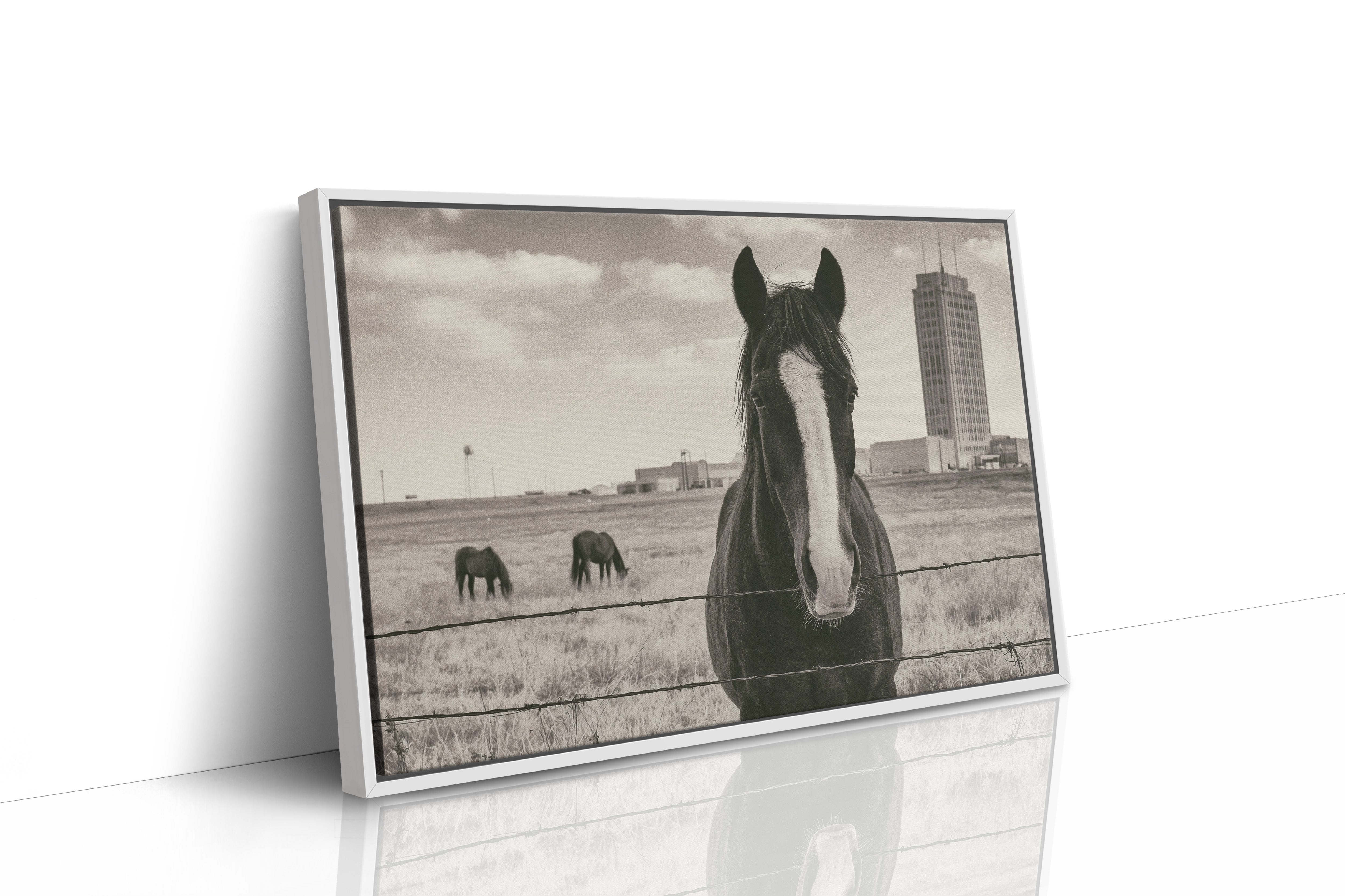 Grassland Watch