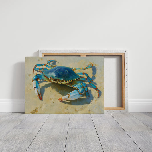 Blue Treasure From Tidal Pools