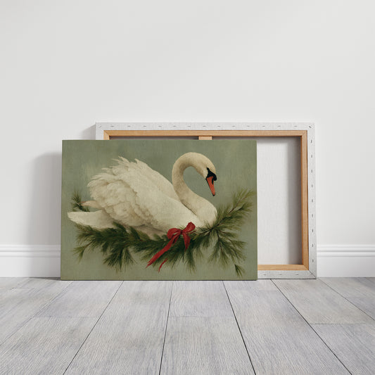 Winter Swan Among Pine Branches