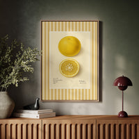 Florida Grapefruit Vintage Botanical Art