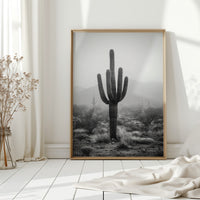 Cactus Standing Against The Mist