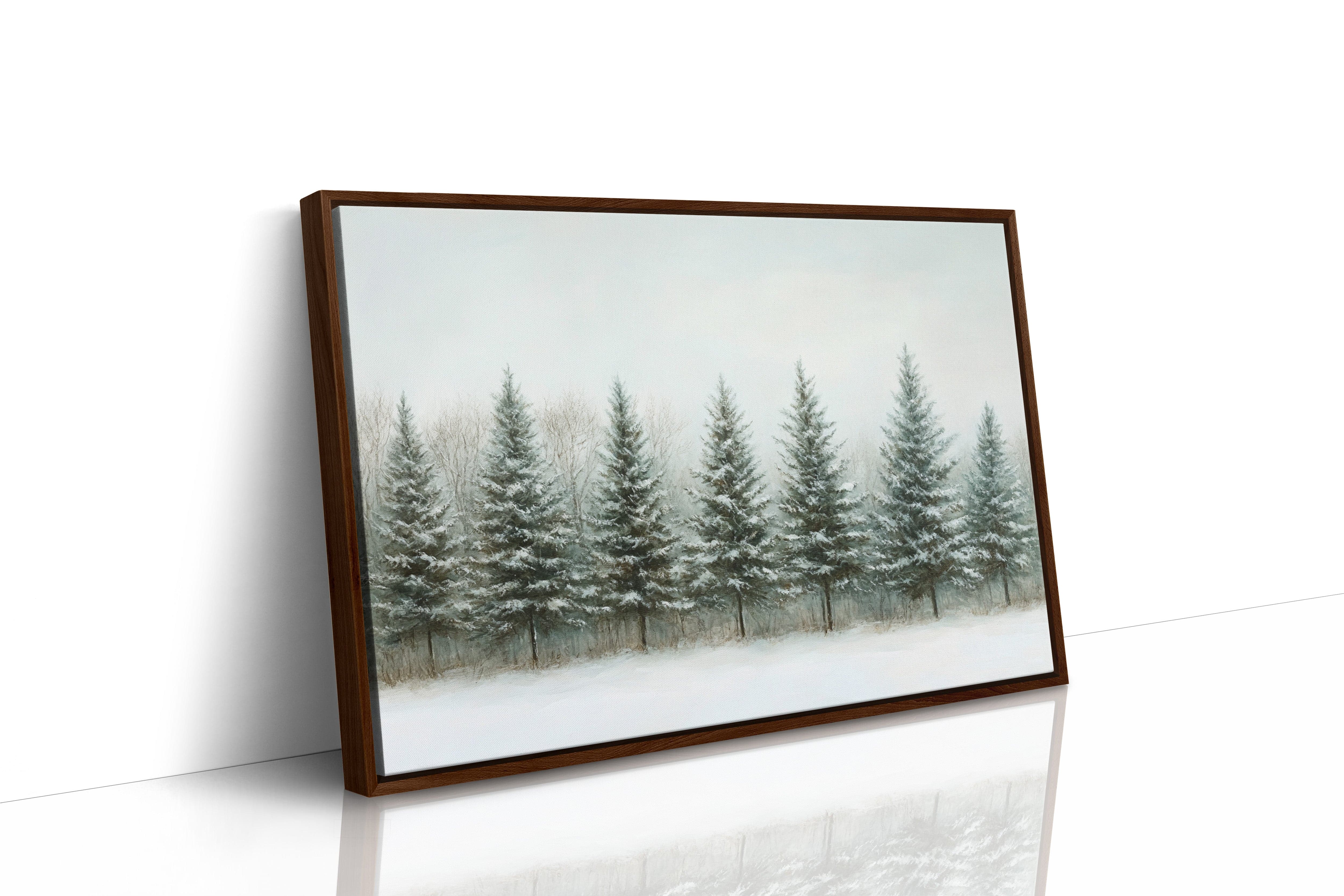 Evergreens Stand Their Winter Watch