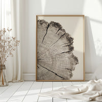 Chronicles Etched in Grain