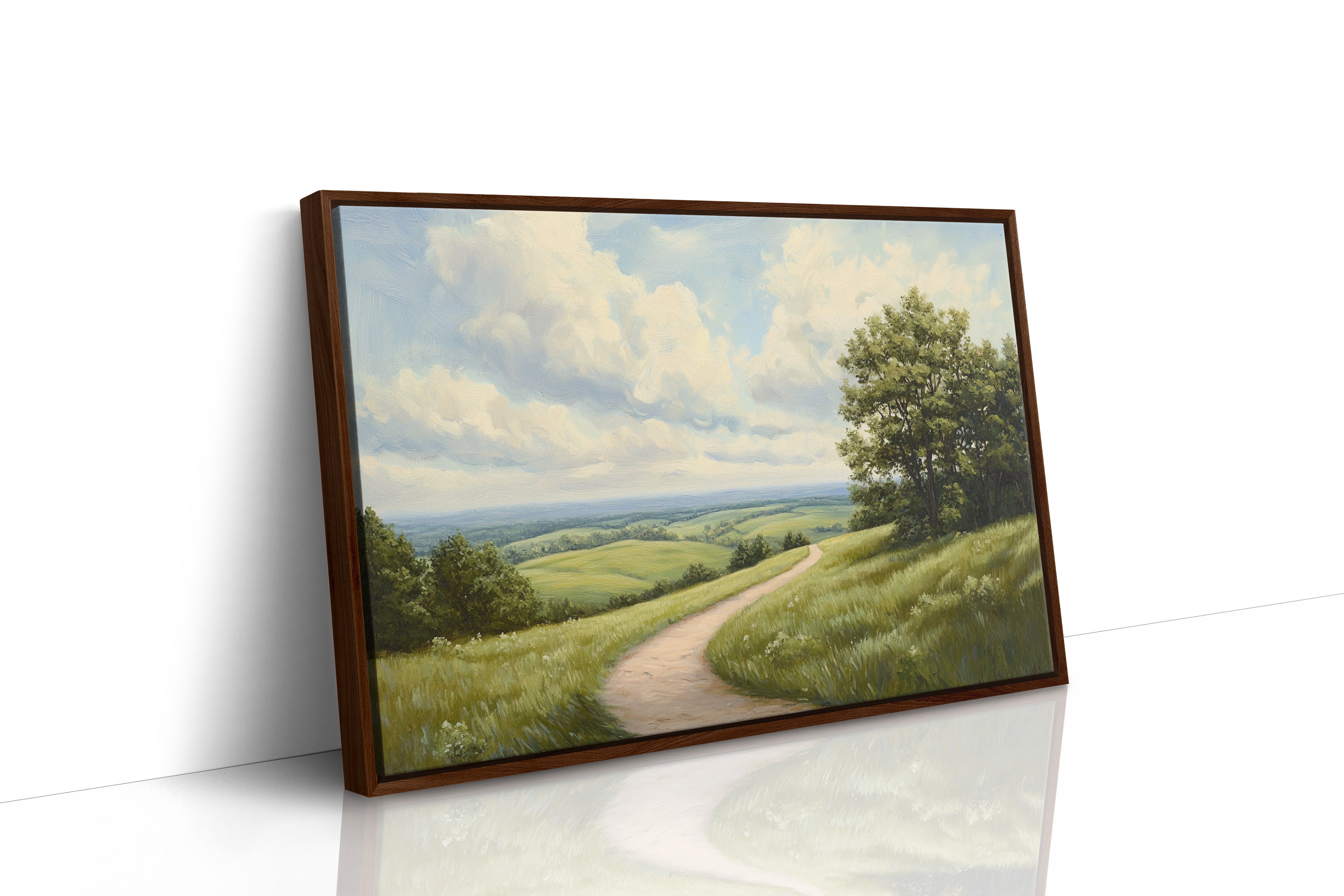 Summer Path Through Rolling Meadows