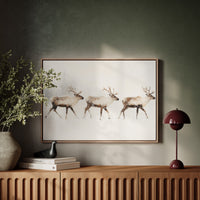 Winter Caribou Cross Misty Plains