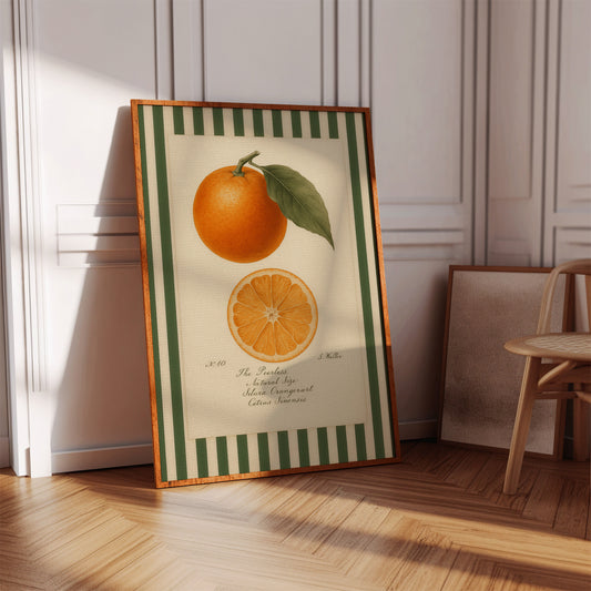 Vintage Orange Slice Botanical Study