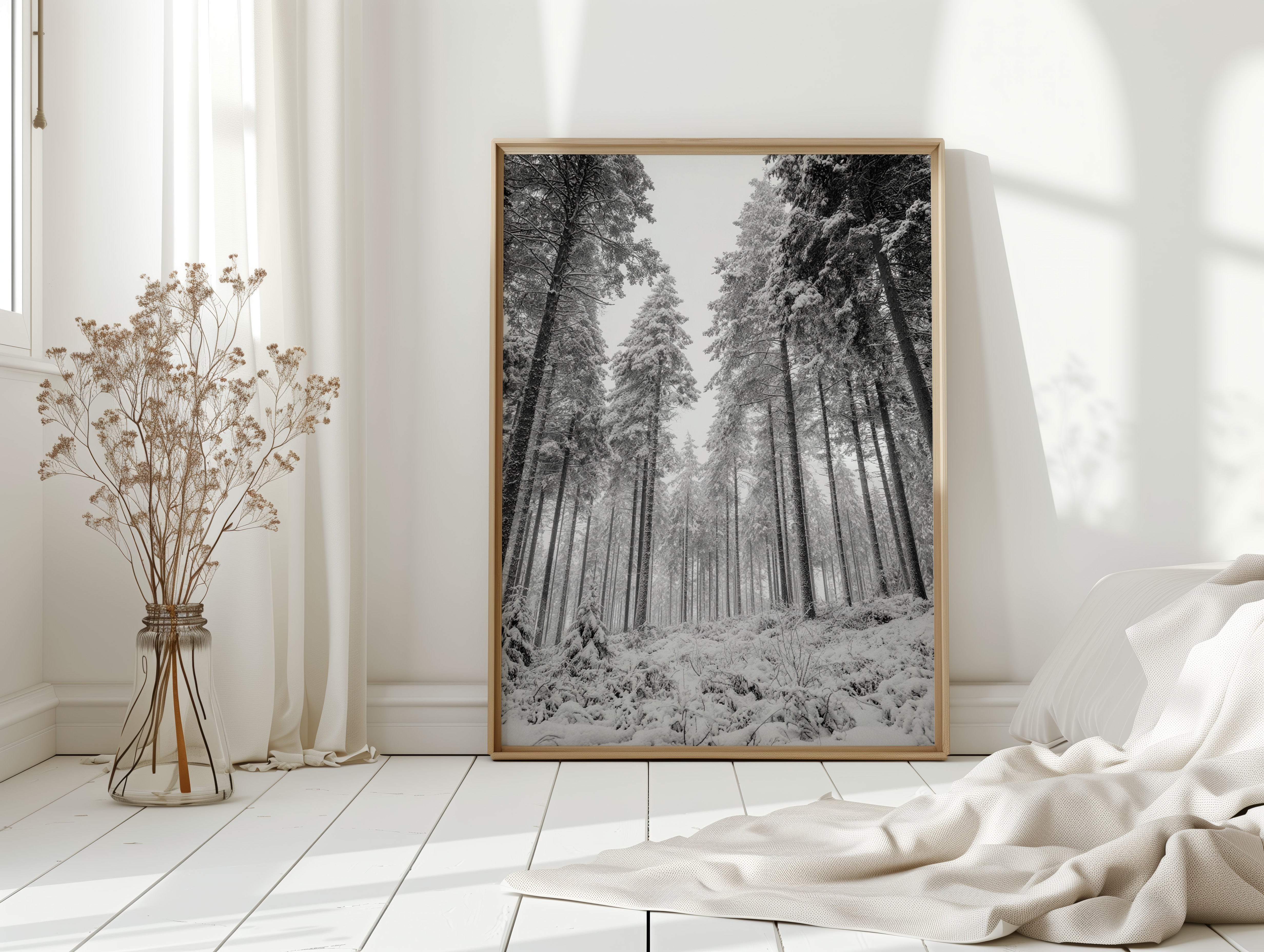 Beneath the Silent Canopy