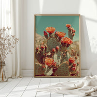 Desert Blooms in Radiant Sunlight