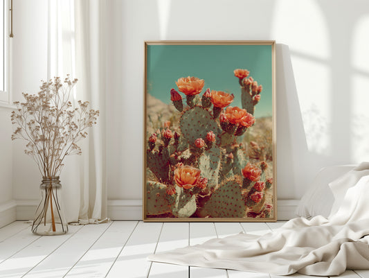 Desert Blooms in Radiant Sunlight