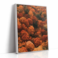 Maximum Maple Volume