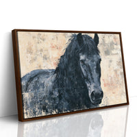 Midnight Mane, Quiet Gaze