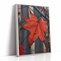 The Last Leaf Holding On
