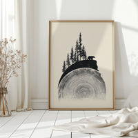 Where The Forest Meets Time