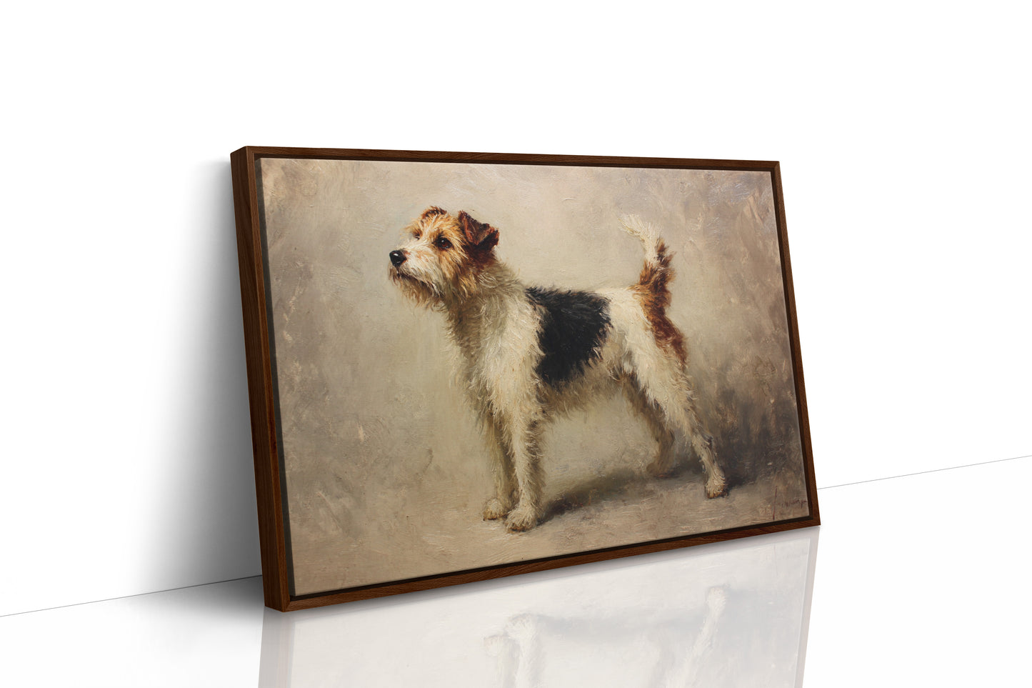 Noble Fox Terrier Stands Alert