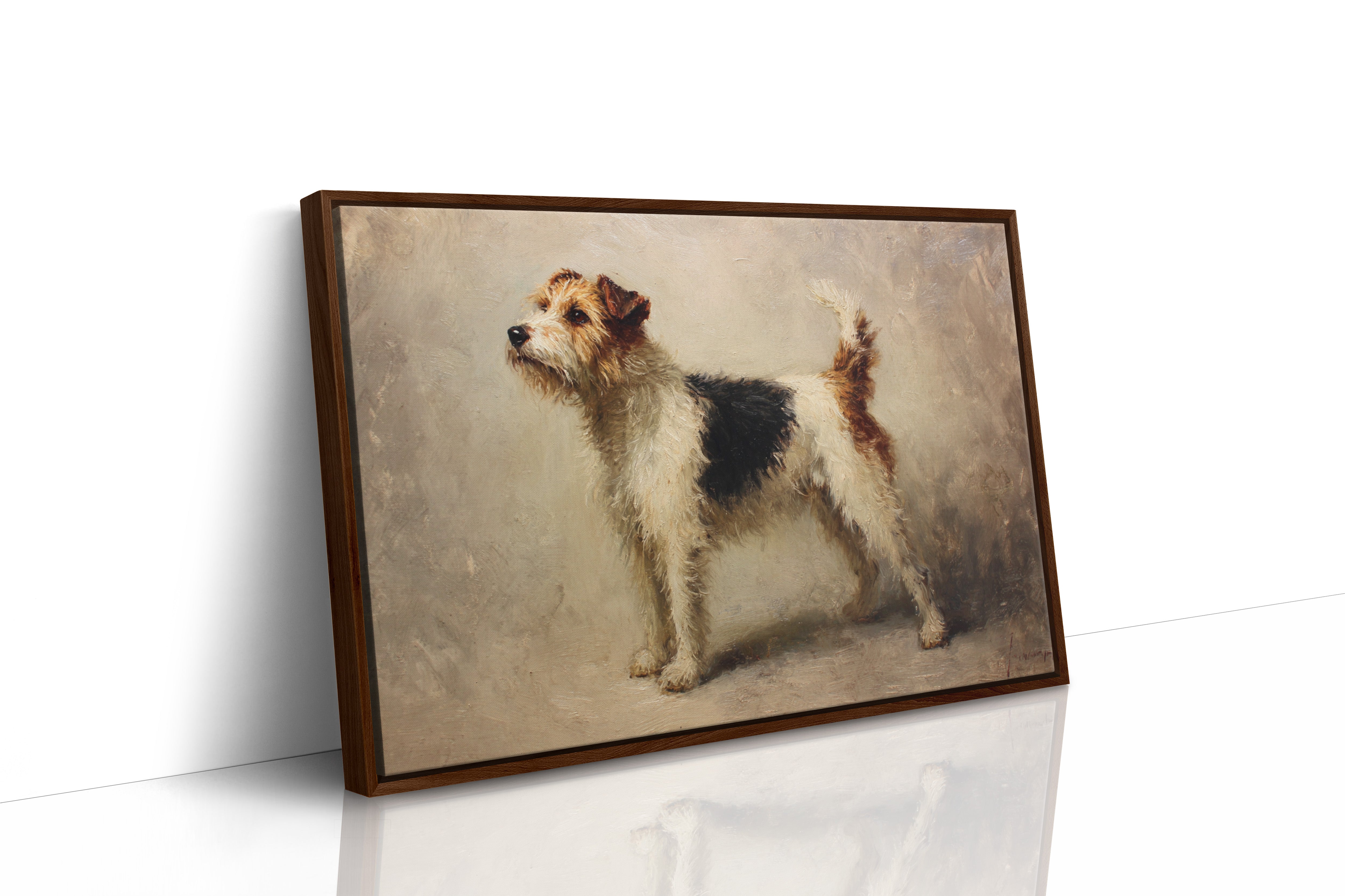Noble Fox Terrier Stands Alert