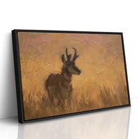 Pronghorn in Golden Grass