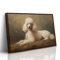 Noble Poodle Rests In Autumn Light