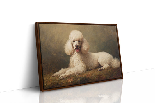 Noble Poodle Rests In Autumn Light