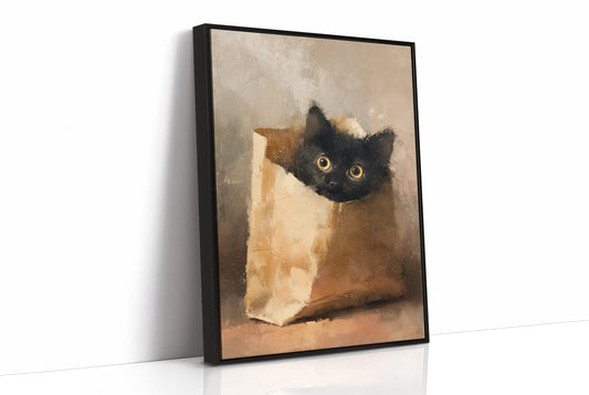Curious Package: Midnight in a Paper Bag