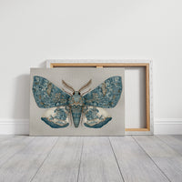 Azure Wings Among Leather Spines