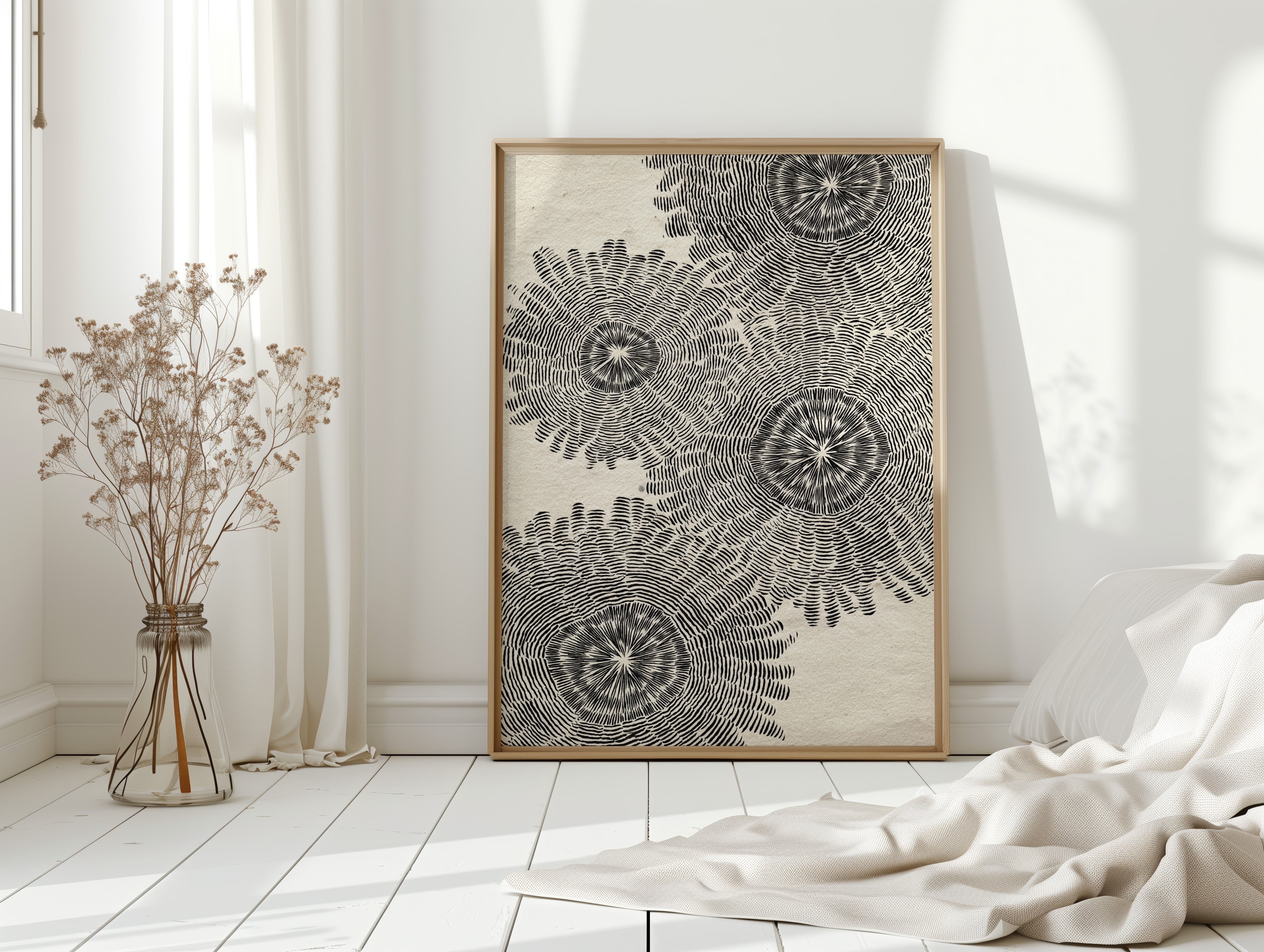 Radiant Patterns of Nature
