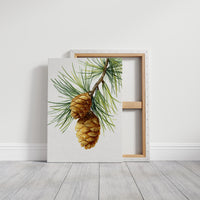 Beneath The Pine's Gentle Embrace