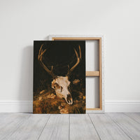 Antlers Among the Wildflowers