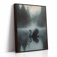 Black Swan in Morning Fog