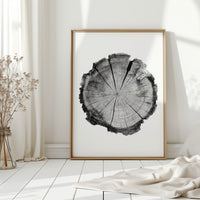 Textured Tree Ring Study