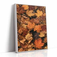 Leaf Me Alone, I’m Resting, print in a white frame