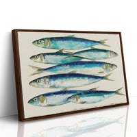 Catch of the Day, Sardine Study