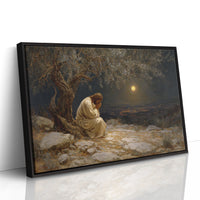 Midnight Prayer Beneath Ancient Olive