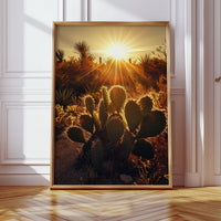 Desert Light Prickly Pear at Sunset