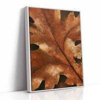 Vein Glory, print in a white frame