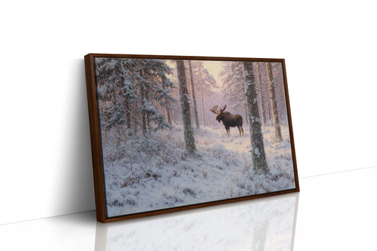 Winter's Light Finds Northern King