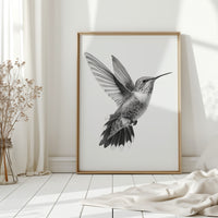 Graceful Hummingbird in Flight