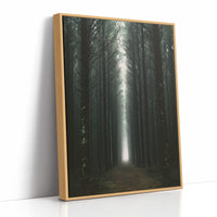 Endless Pine Corridor Of Light