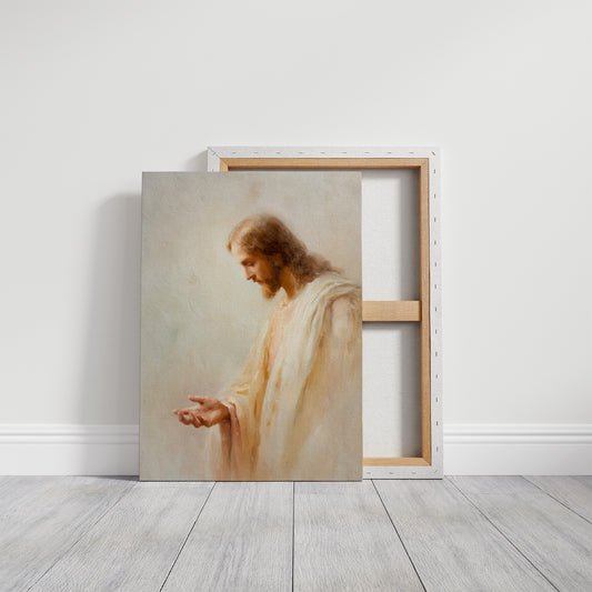 Gentle Light Embraces Sacred Offering