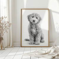 Curly Coat and Kind Eyes