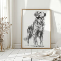 Noble Gaze of Loyalty