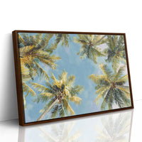 Summer Breeze Lifts Palm Stories