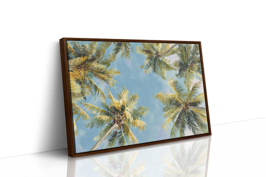 Summer Breeze Lifts Palm Stories