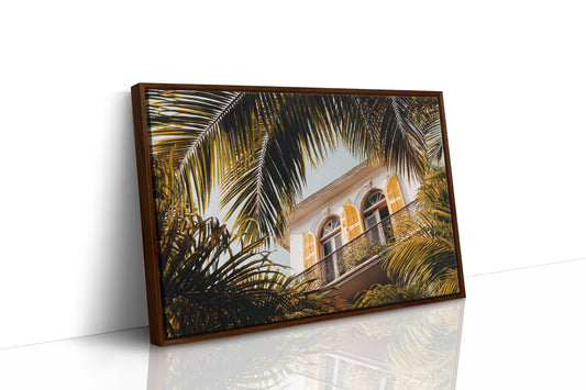 Golden Shutters Behind Palm Veils