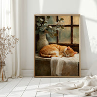 Naptime Beneath Sunlit Windows